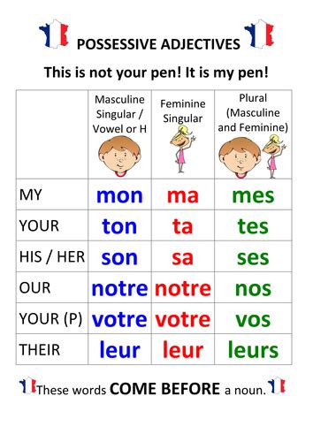 Adjectives Possessive In French