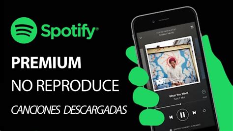 Spotify No Reproduce Canciones Descargadas L Soluci N Youtube