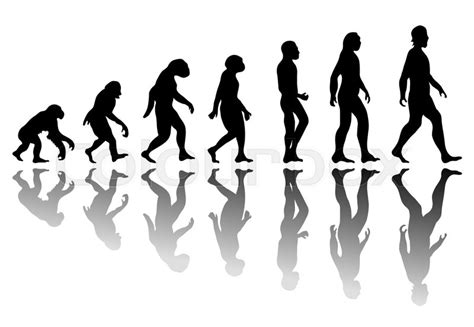 Man Evolution Silhouette Progress Stock Image Colourbox