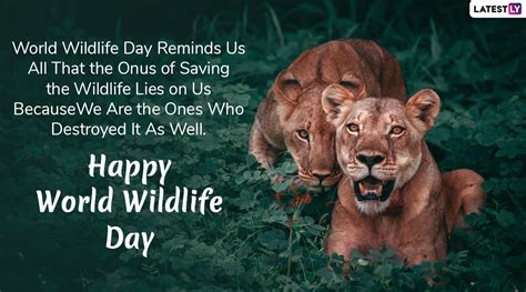 Happy World Wildlife Day 2020 Wishes Whatsapp Stickers  Images