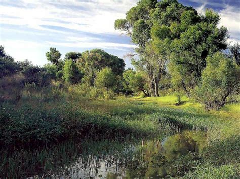 Arizona Trail Along River Rivers And Streams Wallpaper