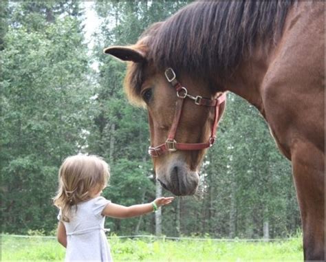 Ideas For Fun Learning Opportunities About Horses For Kids