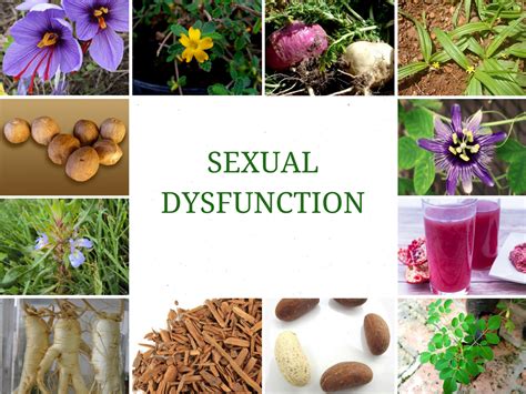 12 Powerful Herbs For Treating Sexual Dysfunction Impotence