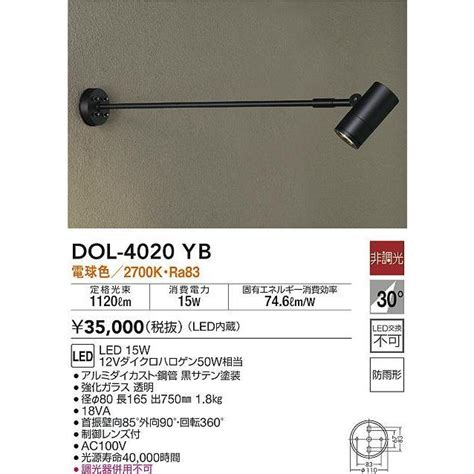 大光電機 DAIKO DOL 4020YB アウトドアライト スポットライト LED内蔵 非調光 電球色 防雨形 ブラック dol