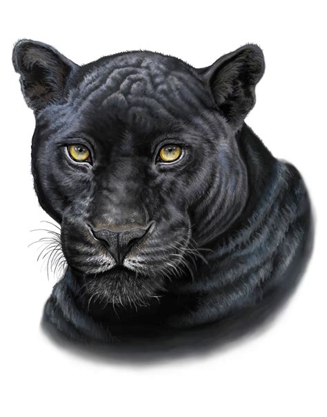 Black Panther Print Etsy In 2022 Black Panther Drawing Black