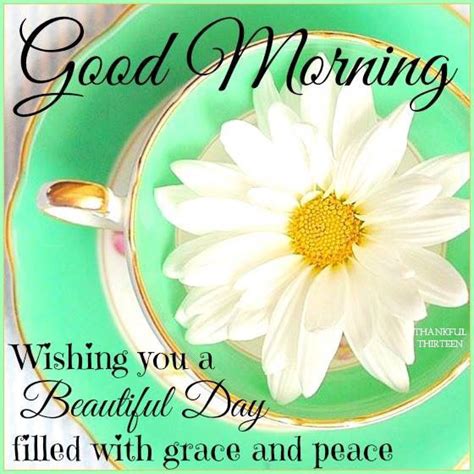 Good Morning Wishing You A Beautiful Day Filled With Peace And Grace