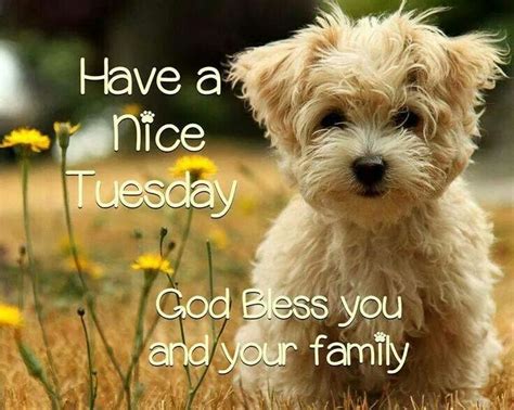 Positive tuesday meme pictures & meme tuesday only tuesday meme motivation tuesday meme meme on happy tuesday long tuesday memes kitten tuesday meme it's only tuesday meme images of tuesday meme, source : Happy Tuesday God Bless You And Your Family Pictures, Photos, and Images for Facebook, Tumblr ...