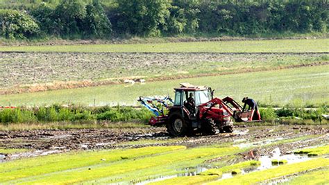 S Koreas Farm Households More Than Halved Over Half Century 매일경제