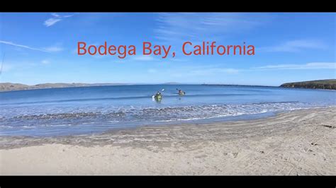8 reviews, 2 photos, & 3 tips from fellow rvers. Bodega Bay, Doran beach, Crabbing - YouTube