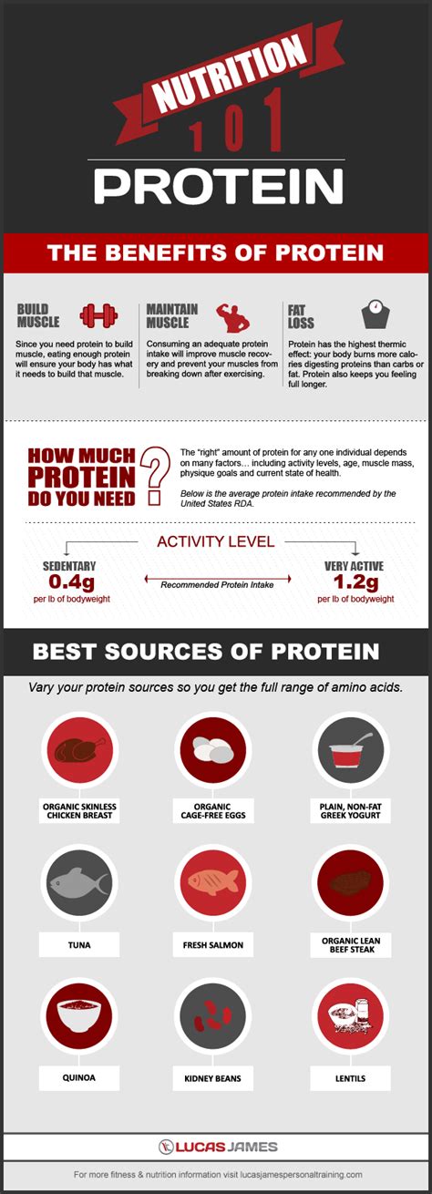 nutrition 101 the benefits of protein [infographic]