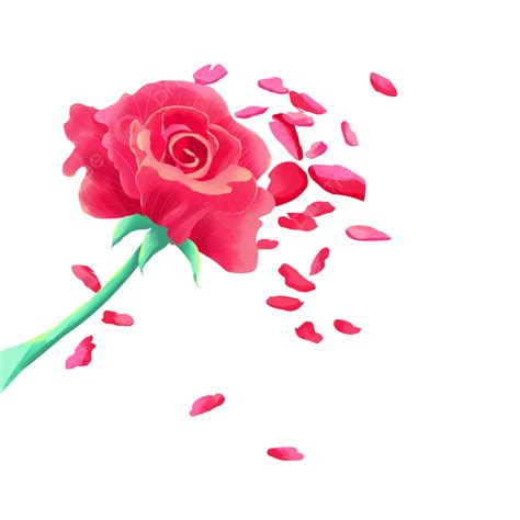 Romantic Rose Valentine Png Vector Psd And Clipart With Transparent
