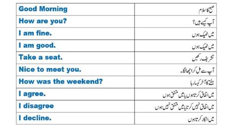 Daily Use Simple English Sentences With Urdu Meanings Phrases