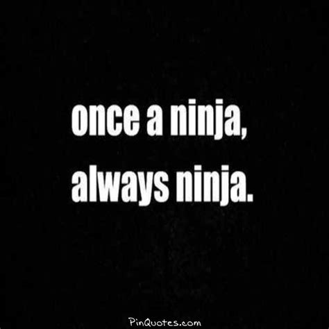 Im A Ninja Quotes Quotesgram