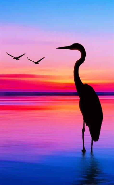 Sunset | Silhouette painting, Silhouette art painting, Sunset painting