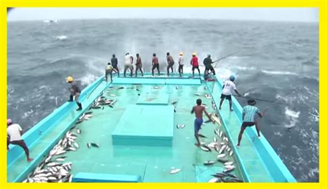 Boat hook poles are an essential tool for any boater's arsenal. The art of catching tuna