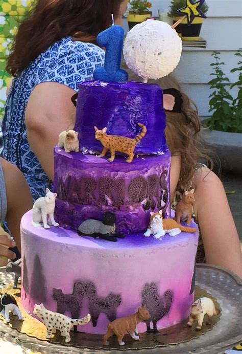 Warriors Cats Cake My Daughter And I Made For Her 10th Bday Not Great