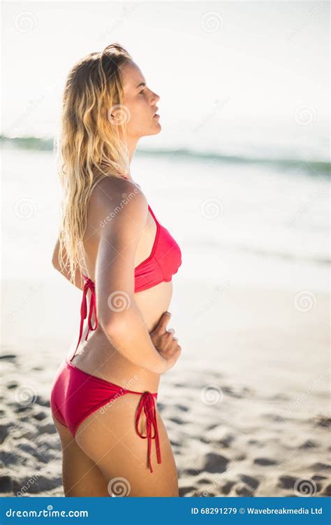 Mujer Bonita En El Bikini Que Se Coloca En La Playa Imagen De Archivo Imagen De Atractivo