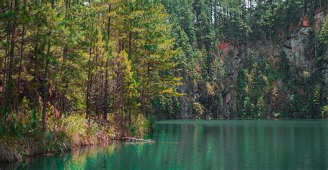 Lake Surrounded By Green Leafed Trees · Free Stock Photo