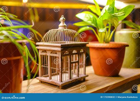 Decorative Wooden Bird Cage Vintage Bird Cage For Interior Decoration