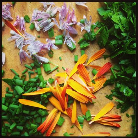 Add edible flowers to your next meal for a splash of color and unique flavors. fresh herbs and edible flowers ready for scrambled egg ...