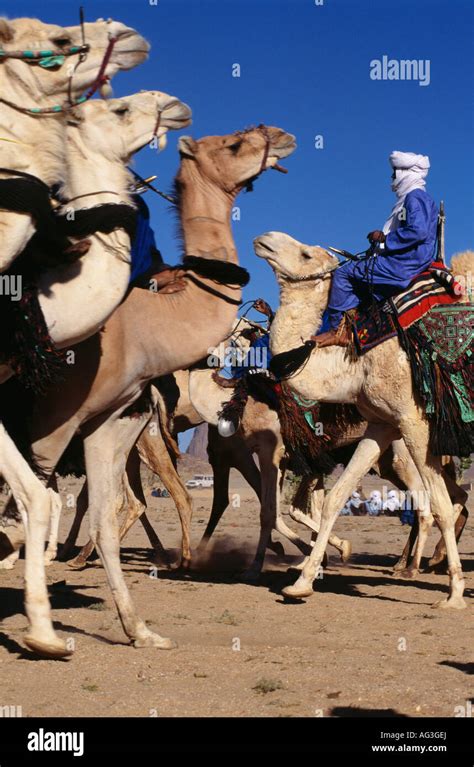 Algeria Tamanrasset Men Of Tuareg Tribe Riding On Camels During