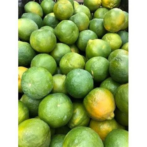 Maharashtra Fresh Oranges At Rs 70000metric Ton In Nagpur Id