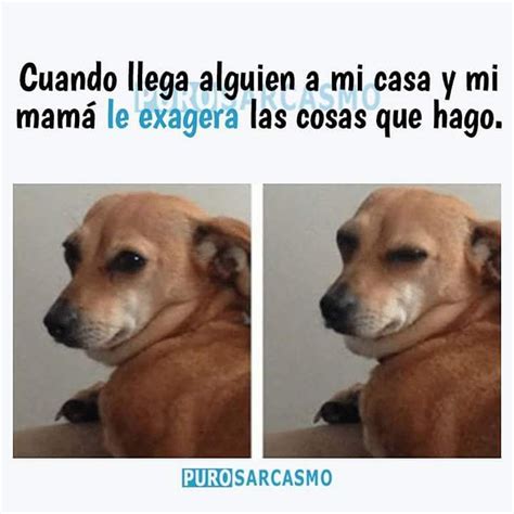 Cuando Llega Alguien A Mi Casa Y Mi Mamá Le Exagera Las Cosas Que Hago