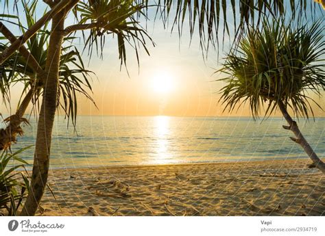 Sunset At Tropical Beach With Palms A Royalty Free Stock Photo From Photocase