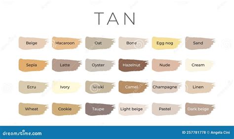 Tan Swatches