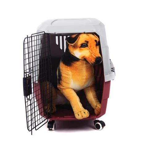 All animals traveling in the cargo hold on alaska airlines must have health certificates issued within 10 days of for pet cargo on alaska airlines, the maximum kennel size is 53l x 48w x 34h. 5 Best Pet Carriers And Tips For Safer Airline Cargo ...