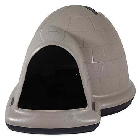 Top 10 Best Dog Igloo Of 2022 Review Best Pet Pro
