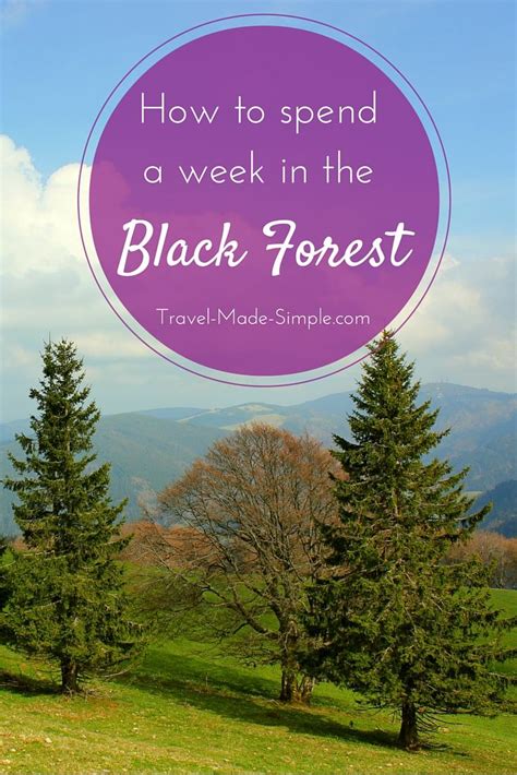 Black Forest And Beyond 1 Week Itinerary In Germany
