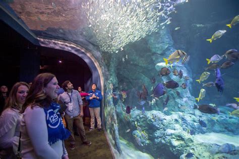 When Does The Aquarium At Union Station Open Aquarium Views