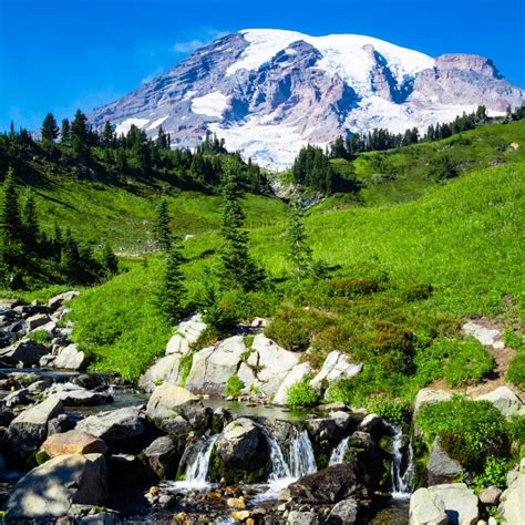 11 Things You Need To See At Mount Rainier National Park | Grounded 