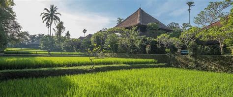 Are you a business owner in bali? Official Website Ananda Cottages - Ubud - Indonesia ...