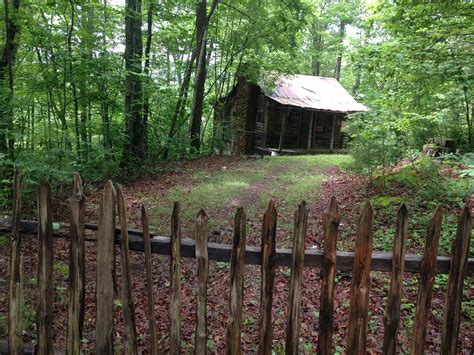 With well over 100 cabins near dollywood we have the perfect property for any group! Dolly Parton's childhood home. Me and my family found it ...