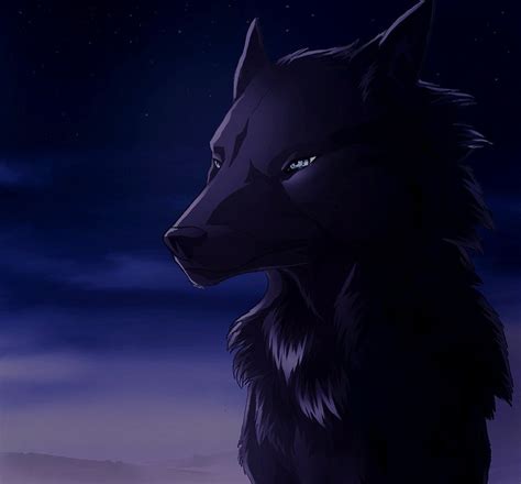Black Wolf Black Wolf Cartoon Wolf Shadow Wolf