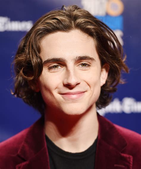 Professional Bubble Machine Timothee Chalamet Haircut Name The Best