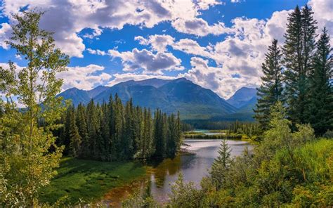 Download Wallpapers North America 4k River Mountains Forest Banff