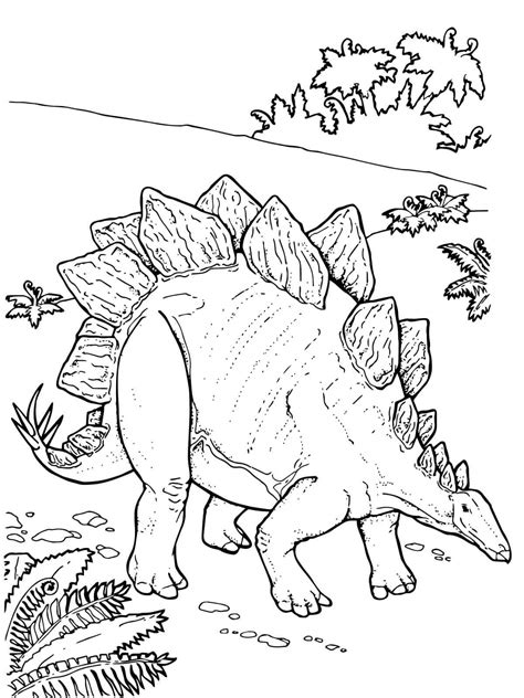 Dibujos De Estegosaurio 8 Para Colorear Para Colorear Pintar E