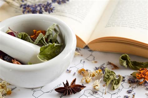 Descargar pdf leer en línea. Boticario Natural Con Las Hierbas Y El Libro Foto de archivo - Imagen de especia, medicina: 75376344