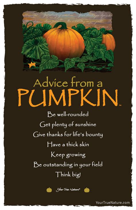 Advice From A Pumpkin Frameable Art Postcard Your True Nature Inc