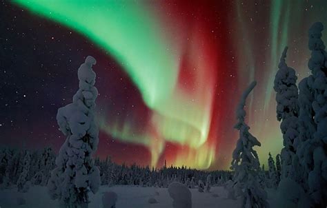 Wallpaper Winter Snow Night Northern Lights Finland Lapland Images