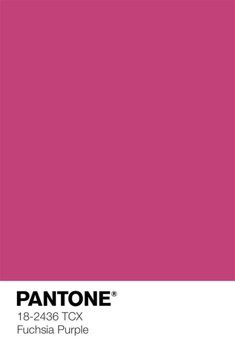 Fuschia Purple By Pantone Color Palette Pink Fuschia Pink Color