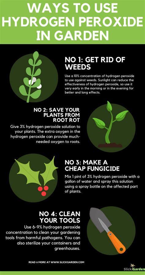 Ways To Use Hydrogen Peroxide In The Garden Info Graphic Hydrogen