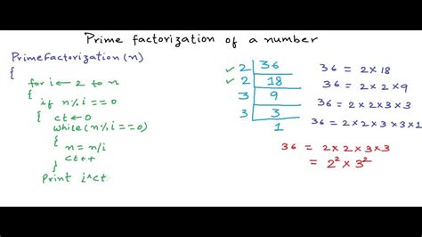 All numbers are built from prime numbers. Prime factorization of a number - YouTube