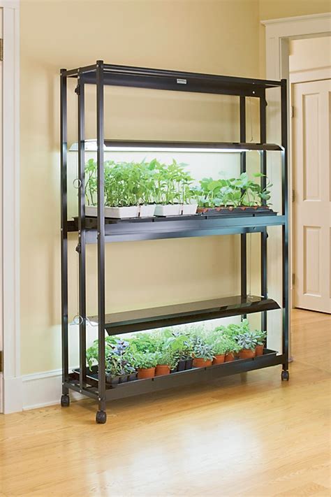 Check spelling or type a new query. Fluorescent grow light systems for seed starting, growing ...