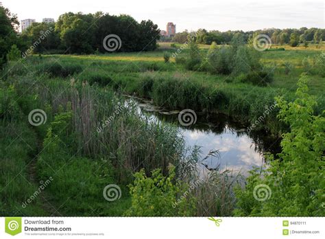 Nature Stock Image Image Of Landscape Grassland Poltava 94870111