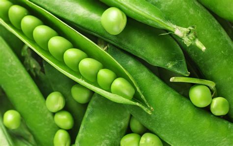 Maybe you would like to learn more about one of these? nature, Plants, Peas Wallpapers HD / Desktop and Mobile ...