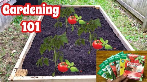 Beginners Guide To Gardening 101 Grow Your Own Food Youtube